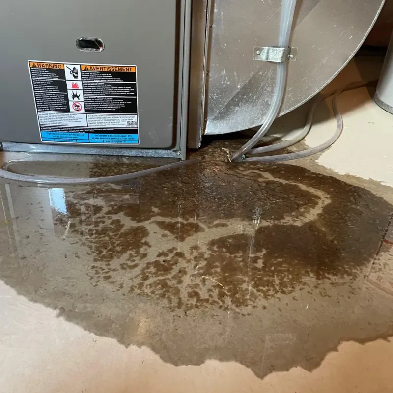 Appliance Leak Cleanup in Culver, IN